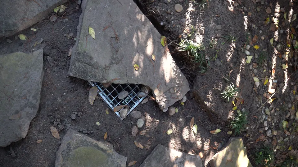 A square metal drain grate among flagstones, soil and fallen leaves